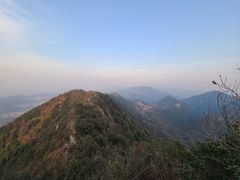 -午潮山国家森林公园