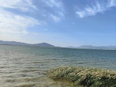 -观澜小洱海