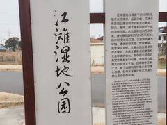 -江滩湿地公园