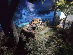 -国家自然博物馆