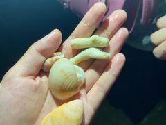 -锦里海景海鲜餐厅.三亚老字号(亚龙湾中心广场店)