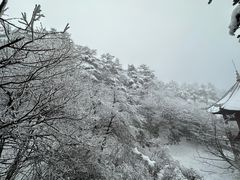 -峨眉山风景名胜区