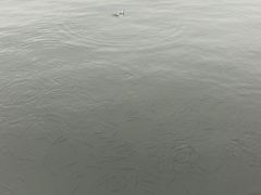 -苏堤停车场