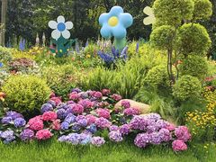 -上海共青森林公园