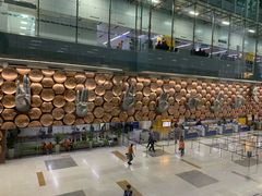 -英迪拉·甘地国际机场