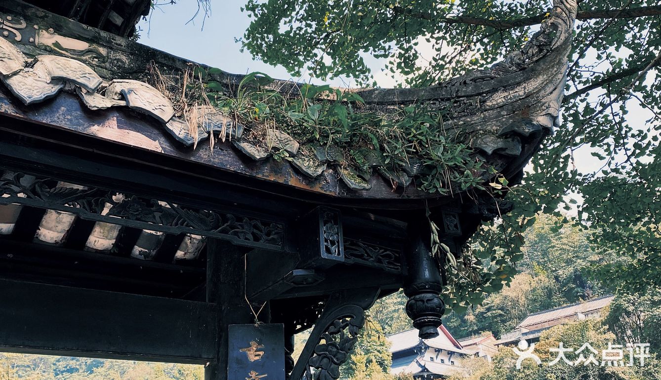 成都周边游｜清凉避暑 &泰安古镇