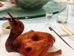 -新成海港大酒楼(康华路店)