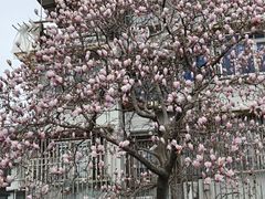 -中建幸福空间