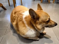 -阿木舂记·特色小吃(平江路店)