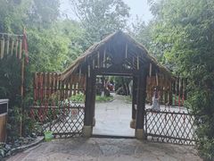 -云南民族村