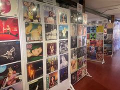 -树懒黑胶唱片店(中山路店)