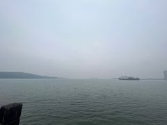 -二乔鱼庄
