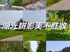 -南海子公园