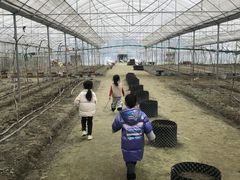 -洪湖家庭农场·团建·露营·会议