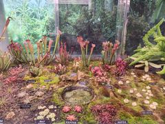 -中国科学院西双版纳热带植物园