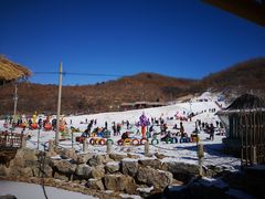 -渔掌门红房子柴火灶(连鞍线店)