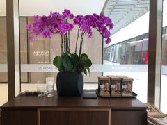 -THE PAWON·8碗(古北SOHO店)