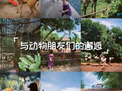 -海南热带野生动植物园