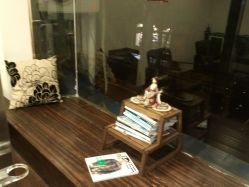 -SALON V