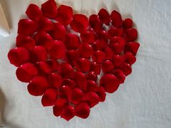 -一棵树·意大利西餐厅One Tree(新城店)