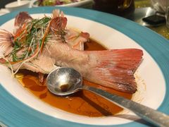 -尚一汤·粤菜海鲜(汇智国际商业中心店)