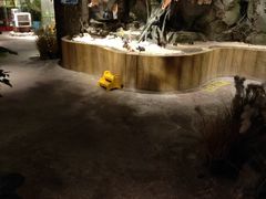 -zoonana室内动物园(东方福来德店)
