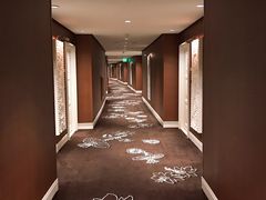 -拉斯维加斯永利酒店