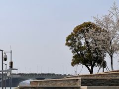 -艾溪湖湿地公园