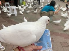 -国色天乡三期陆地乐园