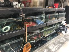 水产区-渝君重庆火锅(嘉宾路店)