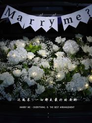 -迈瑞米求婚策划(静安店)