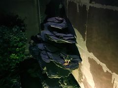 -食锦斋(塔头店)