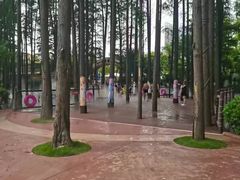 -武汉玛雅海滩水公园