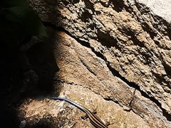 -黑龙潭风景区