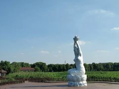 -荷塘月色湿地公园·向阳花洲