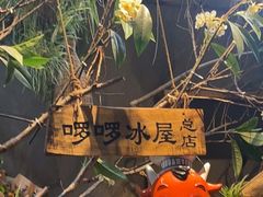 -啰啰冰屋(景洪总店)