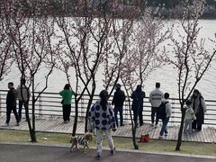 -美兰湖景区
