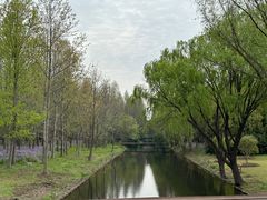 -上海滨江森林公园