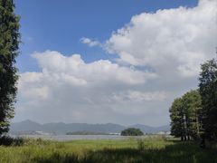 -四明山国家森林公园