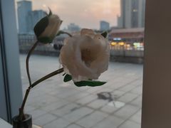 -1874融合西厨·观景餐厅(保利店)