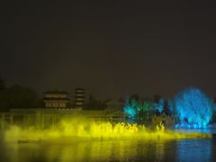 -曹州牡丹园