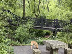 -白马涧龙池景区