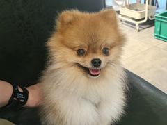 -李叔叔虾蟹大排档(青羊店)