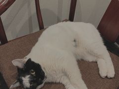 -一盃山水咖啡茶馆