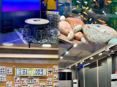 -罗大姐重庆市井老火锅(海丰店)