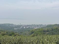 -东山风景区(洞庭东山)