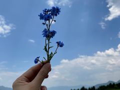 -玉湖村