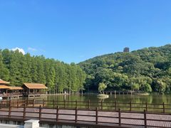 -采石矶景区