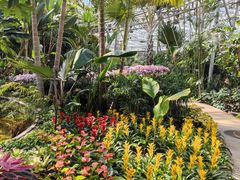 -北京植物园-展览温室