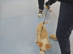 -全心全意动物诊疗中心医院(北苑店)